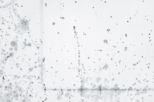 Intricate pattern of black mold spores on a white background, showcasing decay and organic growth.